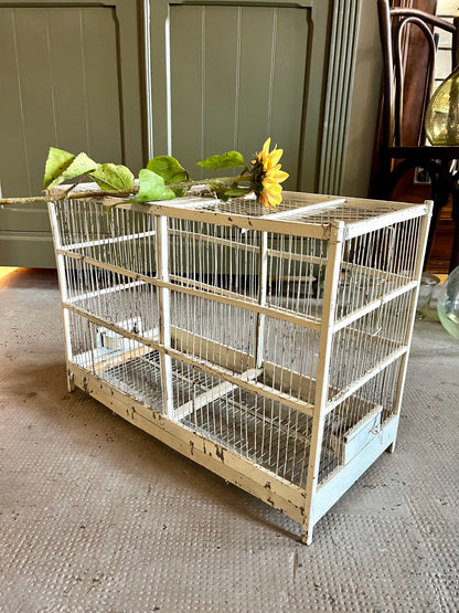 Cage à oiseaux ancienne  Décoration Patine