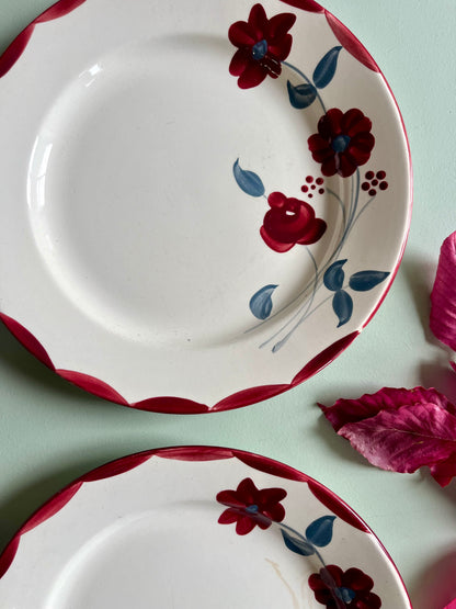 Assiettes anciennes Henri E.C. Salins – Lot de 6  Vaisselle Patine