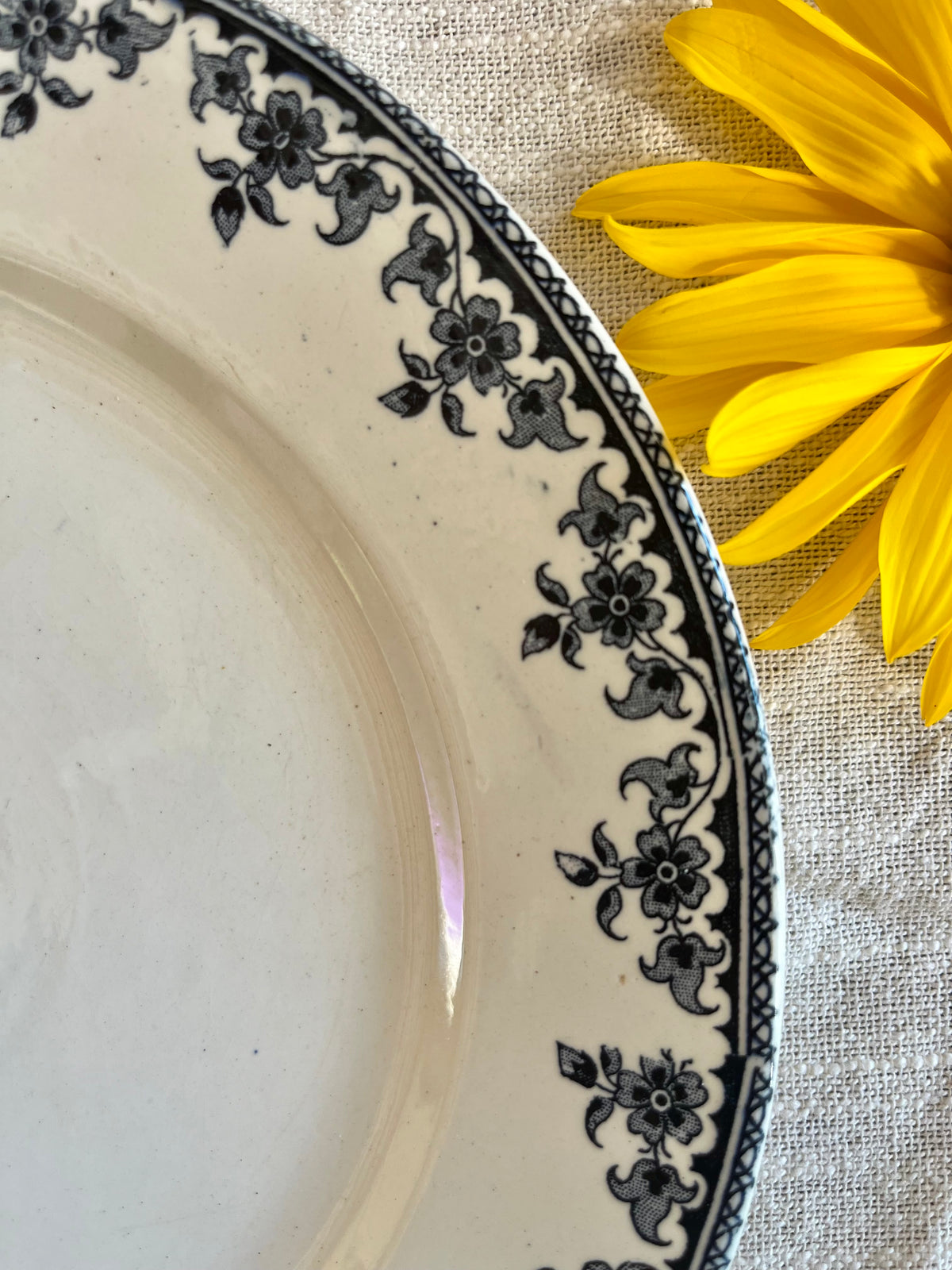 Assiette terre de fer « Gagny »   Patine