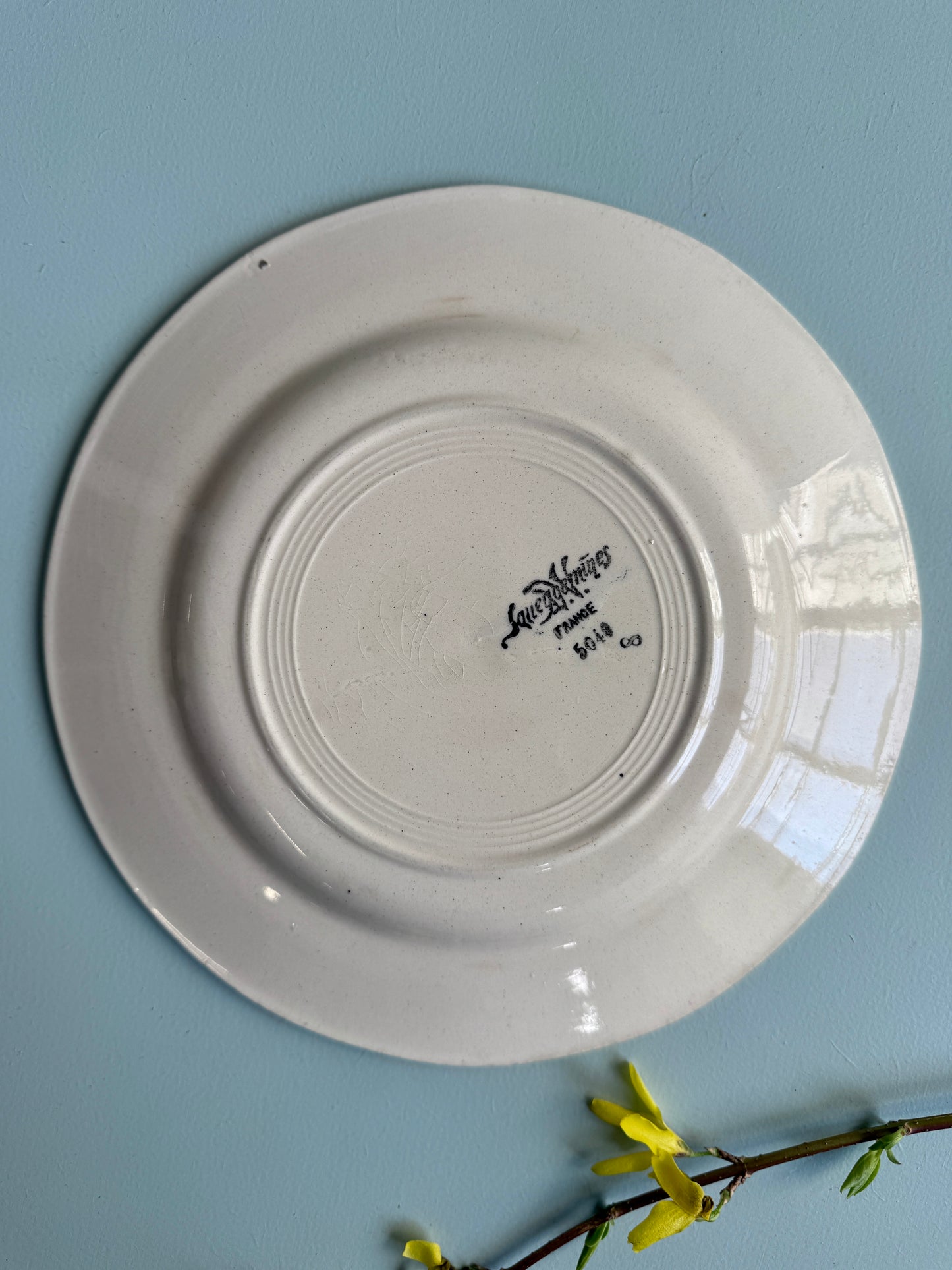 Assiette plate de Sarreguemines