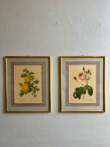 Tableau-lithographie rose encadré