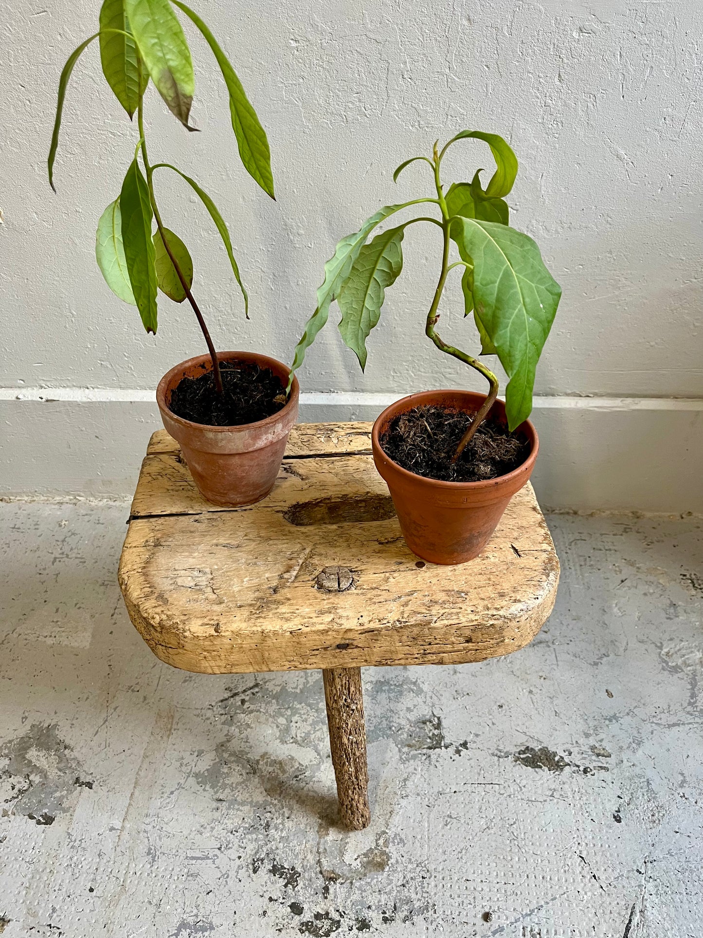 Tabouret de ferme ancien en bois