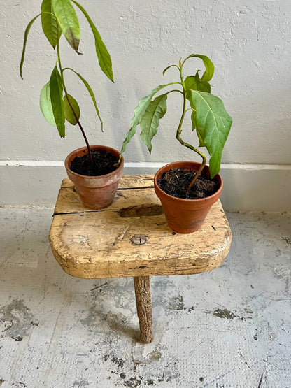 Tabouret de ferme ancien en bois