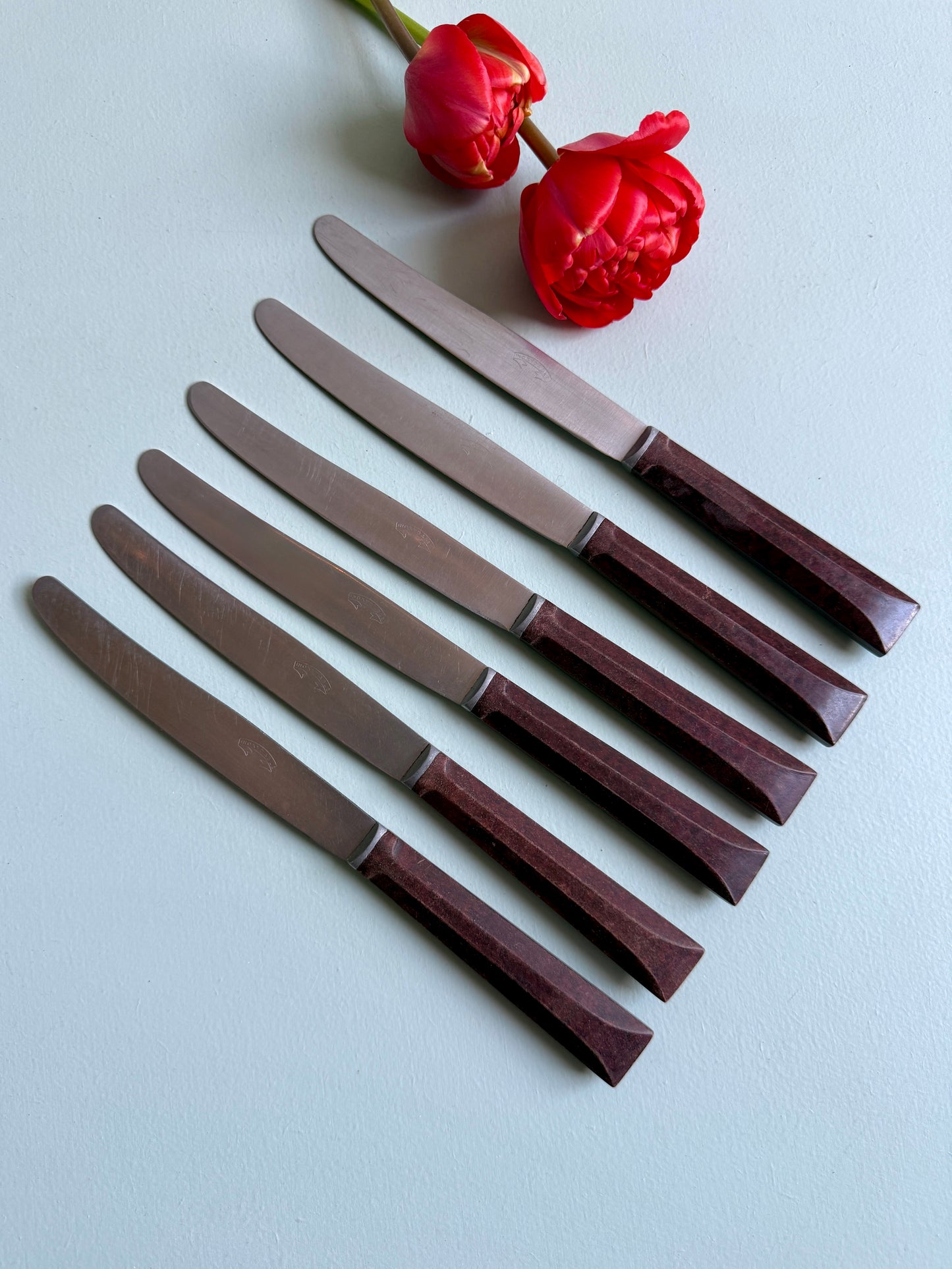 Couteaux inoxydables - lot de 6