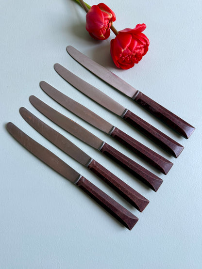 Couteaux inoxydables - lot de 6