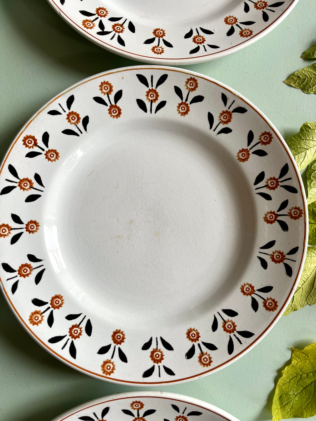 Assiettes plates anciennes Saint-Amand modèle Vannes – Lot de 6  Vaisselle Patine