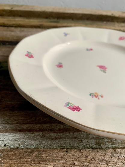 Assiette/Plat Sarreguemines