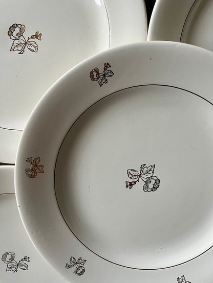 8 assiettes en céramique blanches