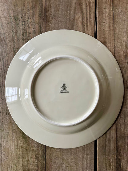 8 assiettes creuses en porcelaine