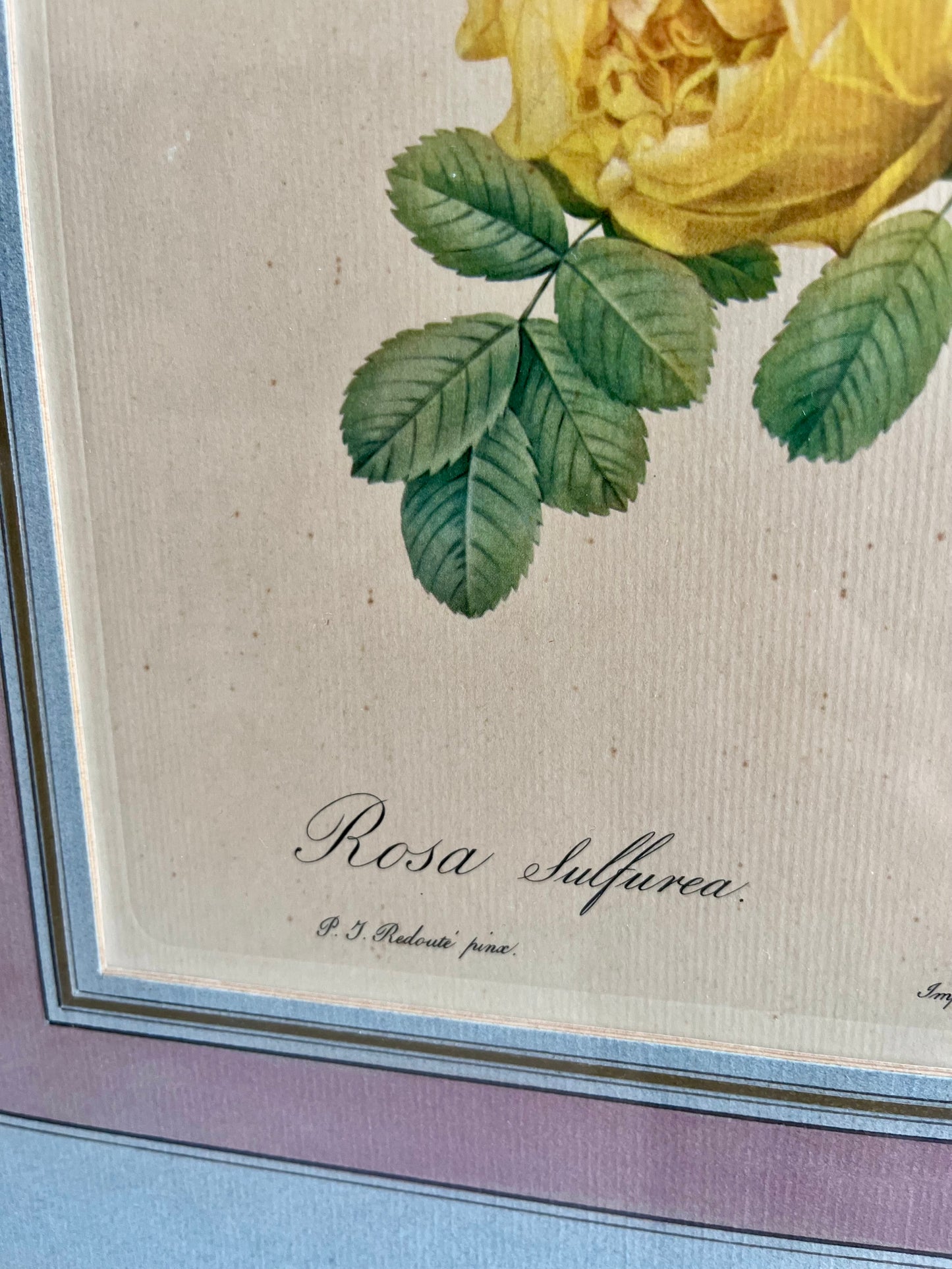 Tableau-lithographie rose jaune