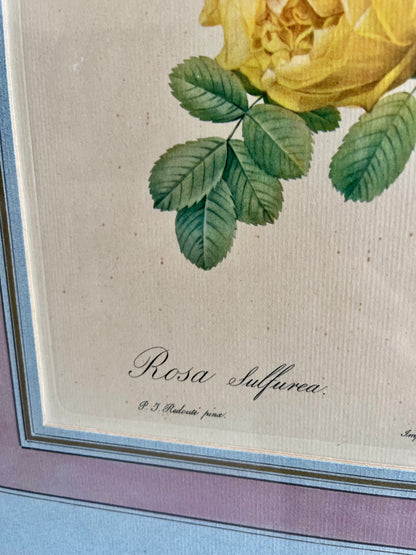 Tableau-lithographie rose jaune