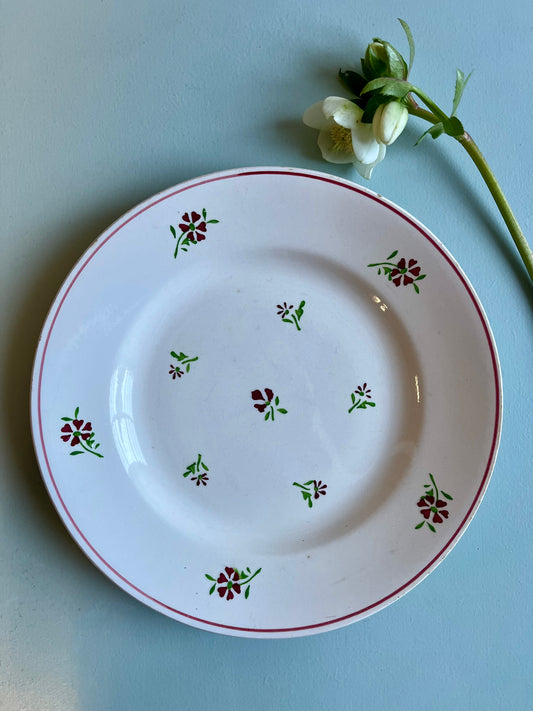 Assiette en faïence à petites fleurs- Niderviller