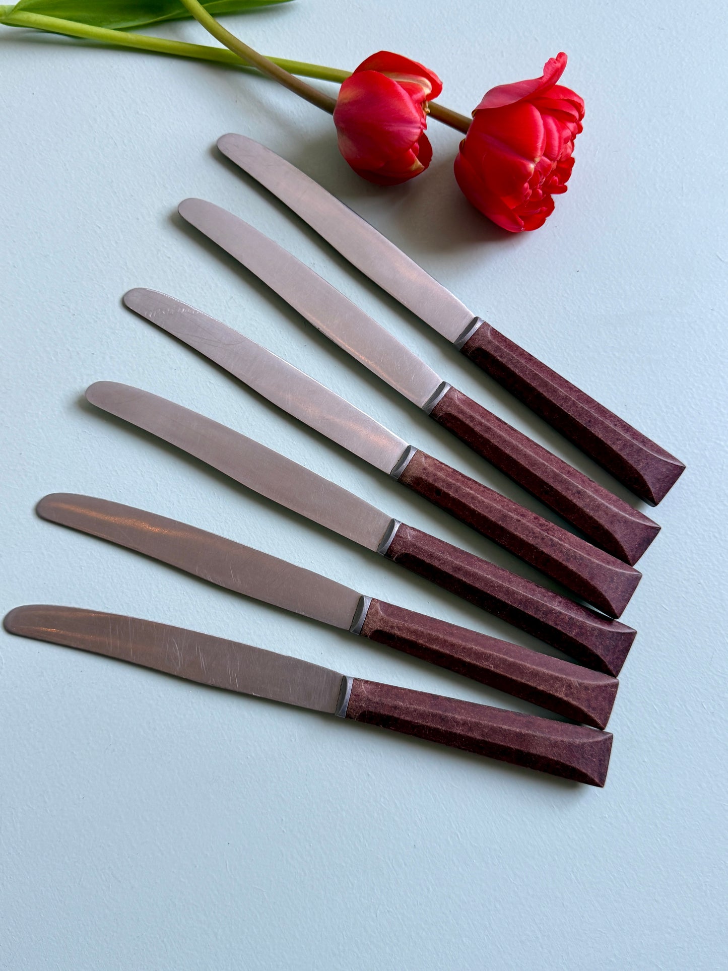 Couteaux inoxydables - lot de 6