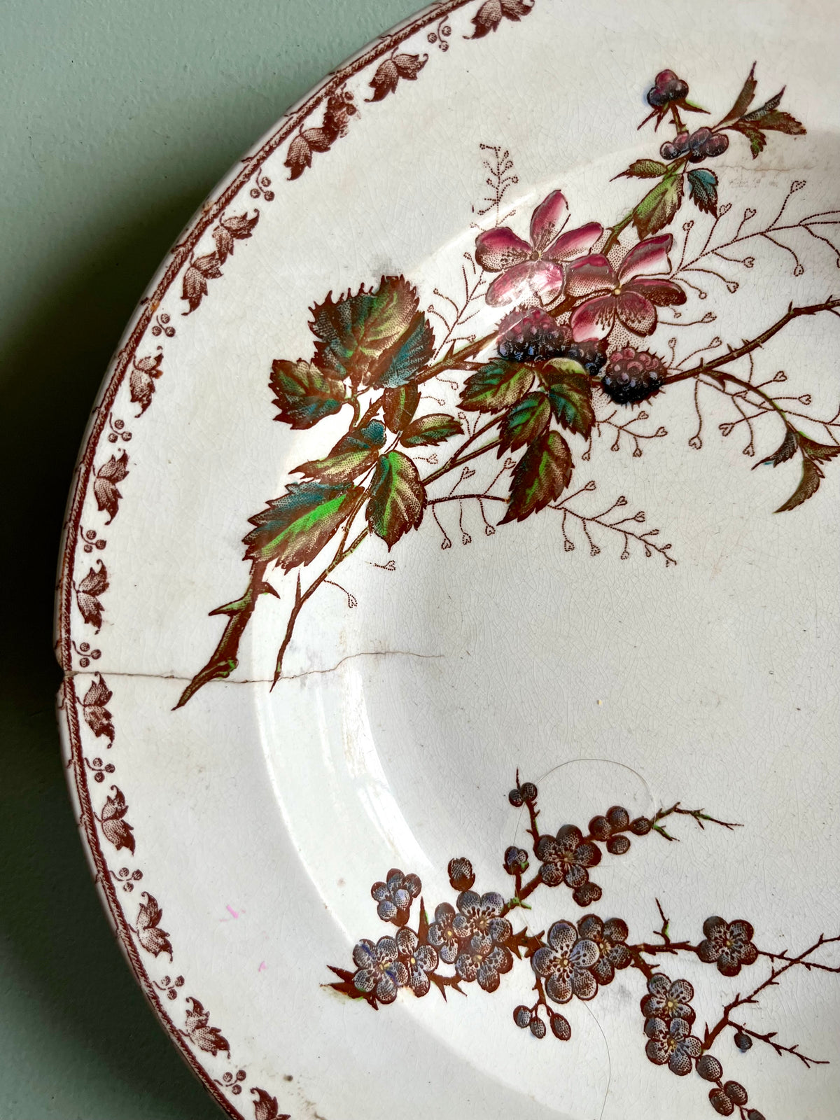 Assiette creuse Sarreguemines modèle Carmen  Vaisselle Patine