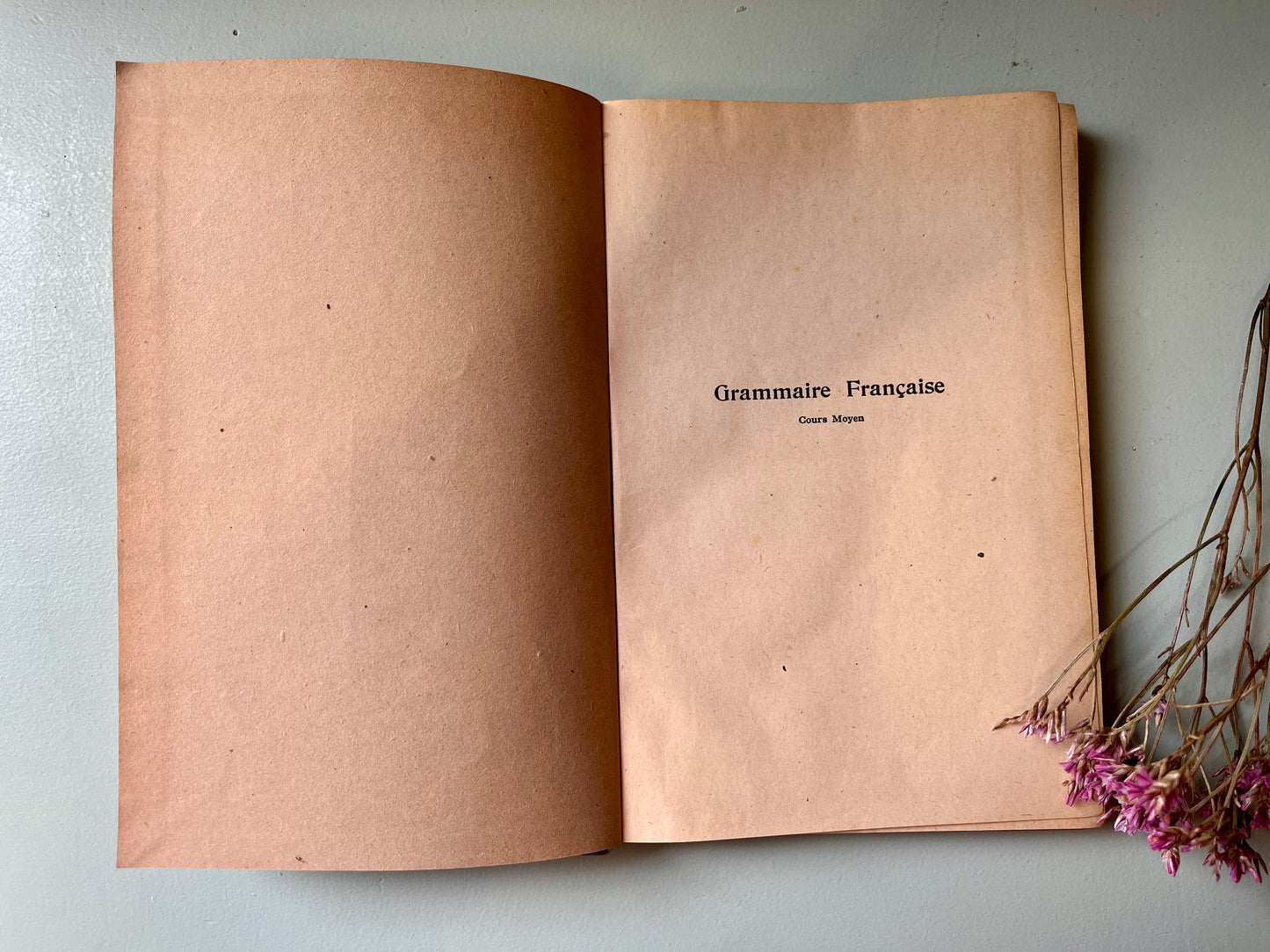 Livre de grammaire ancien/ manuel vintage