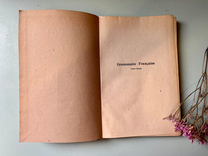 Livre de grammaire ancien/ manuel vintage