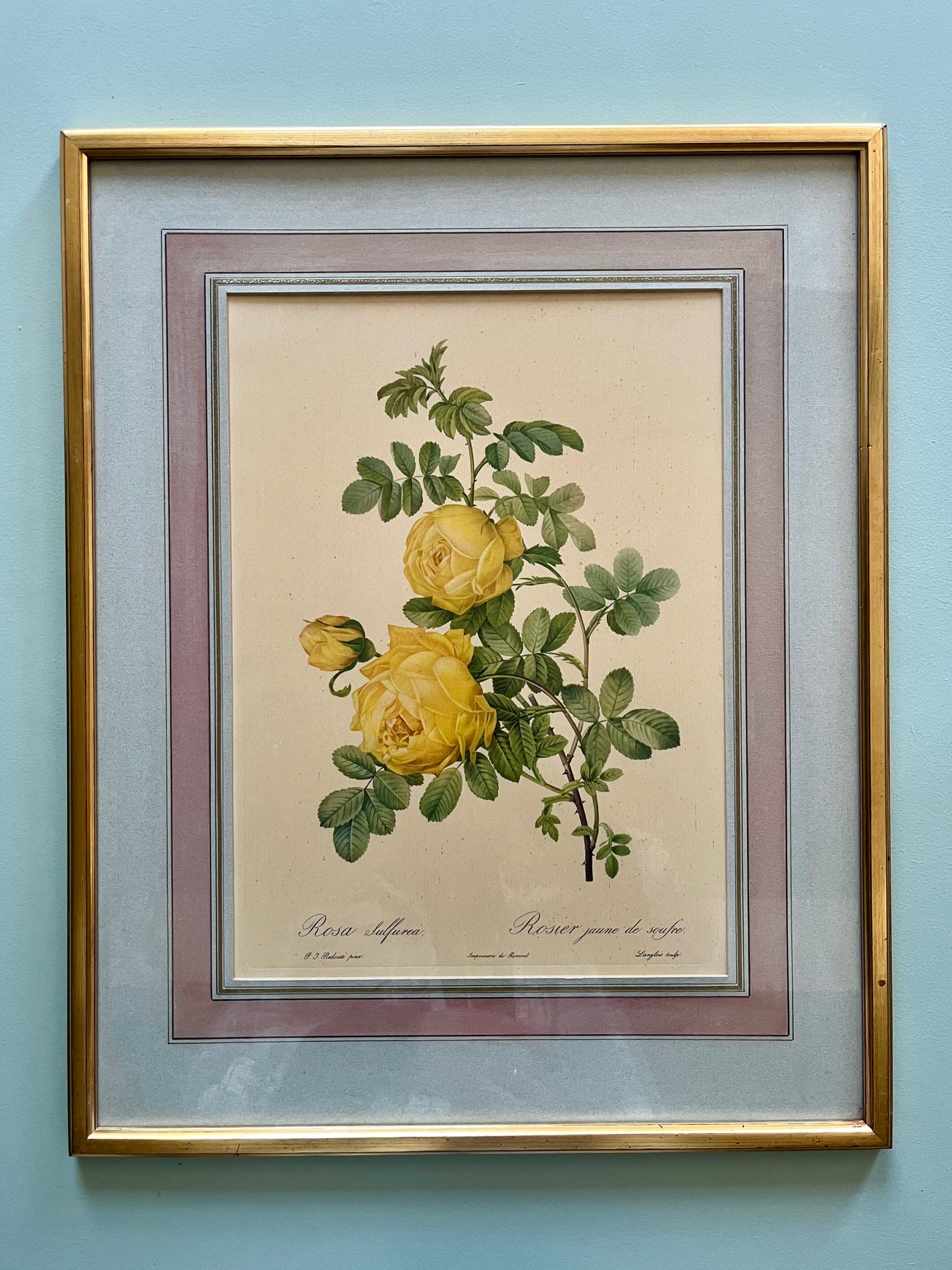 Tableau-lithographie rose jaune