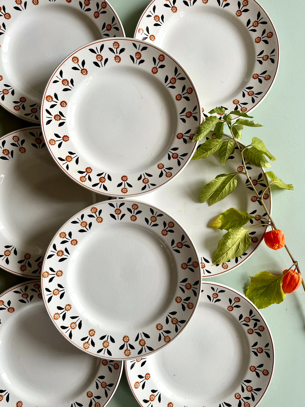 Assiettes plates anciennes Saint-Amand modèle Vannes – Lot de 6  Vaisselle Patine