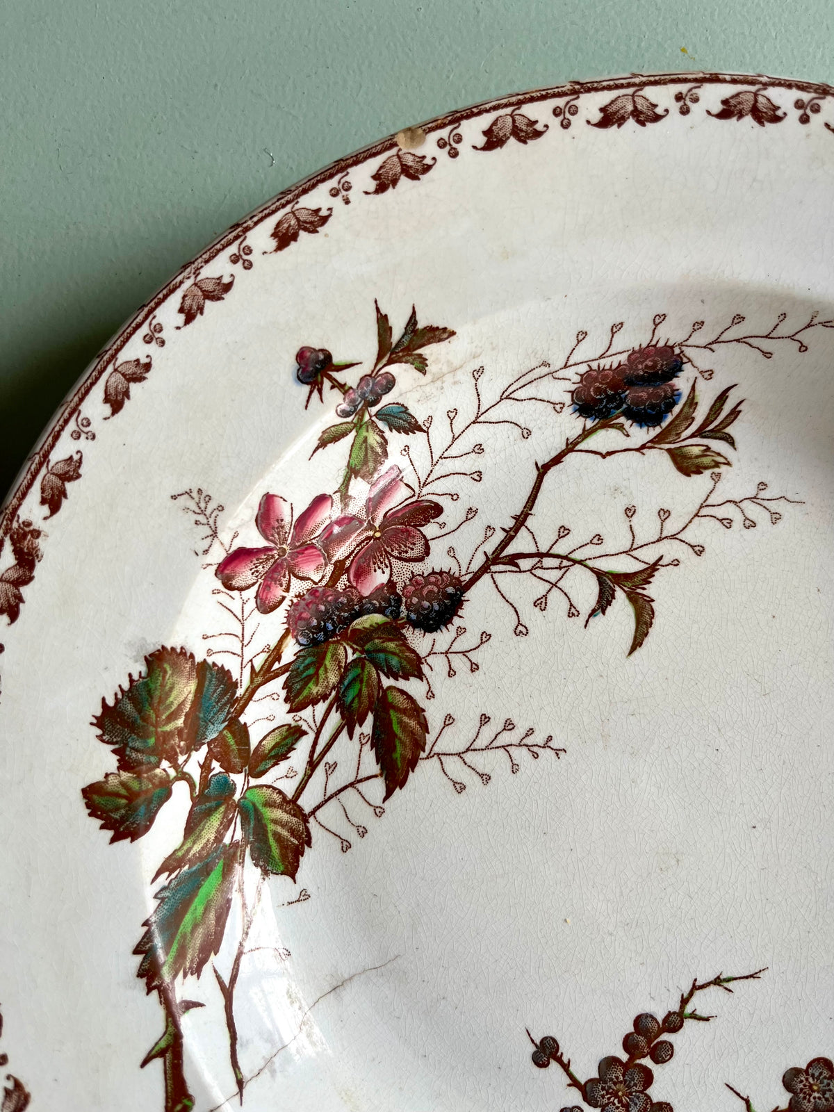 Assiette creuse Sarreguemines modèle Carmen  Vaisselle Patine
