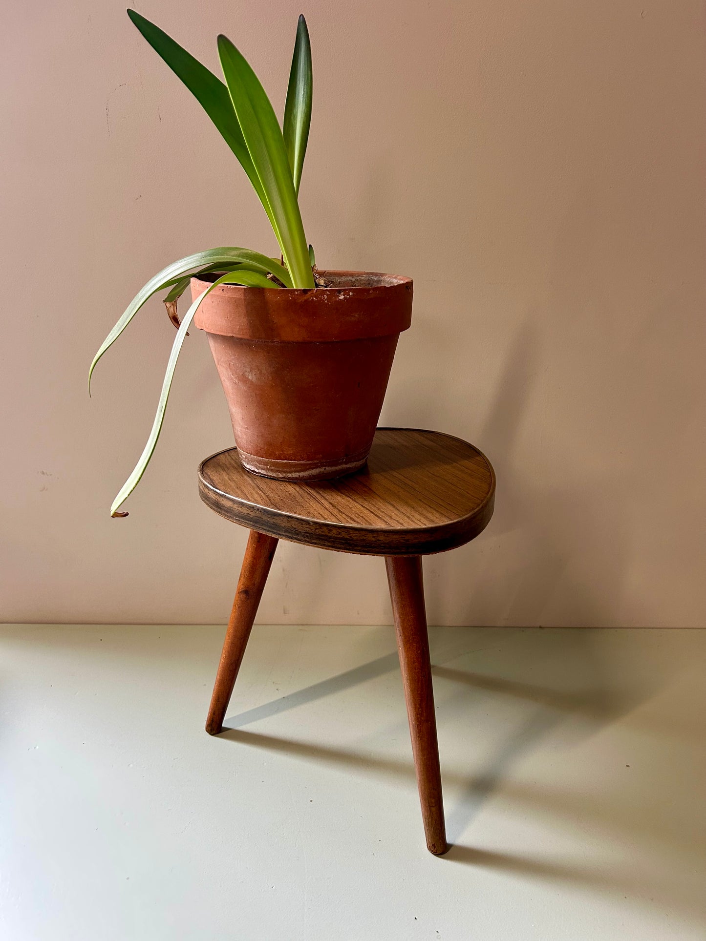 Tripode - porte plante  Meubles Patine