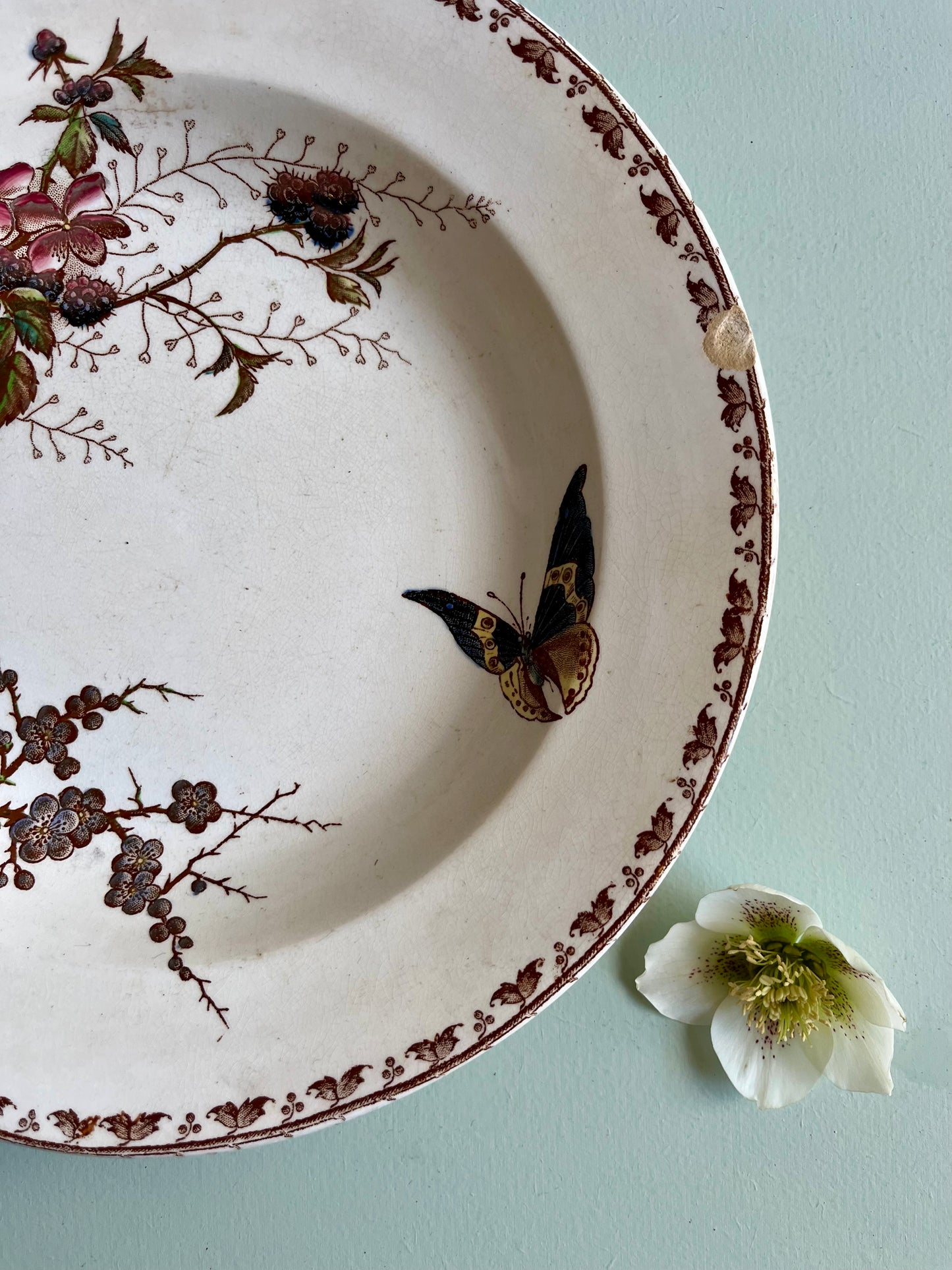 Assiette creuses Sarreguemines modèle « Carmen »