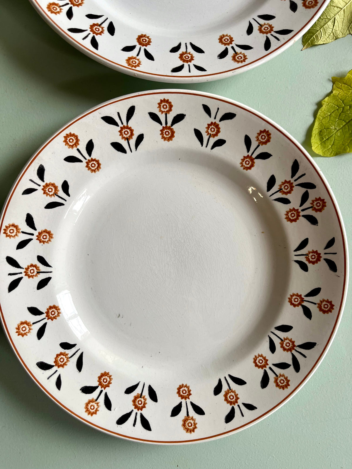 Assiettes plates anciennes Saint-Amand modèle Vannes – Lot de 6  Vaisselle Patine
