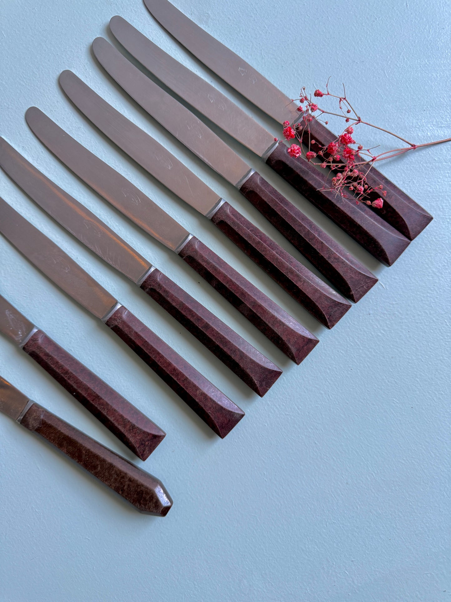 Couteaux inoxydables - lot de 9