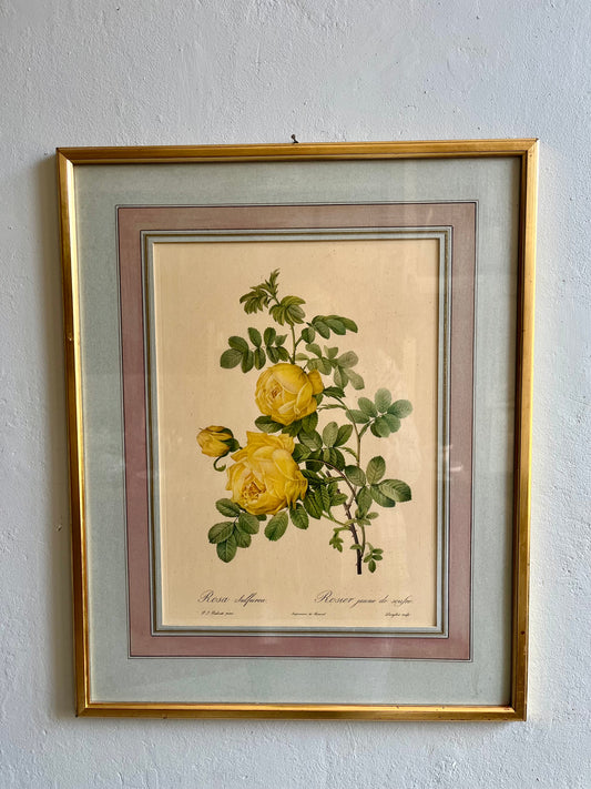 Tableau-lithographie rose jaune