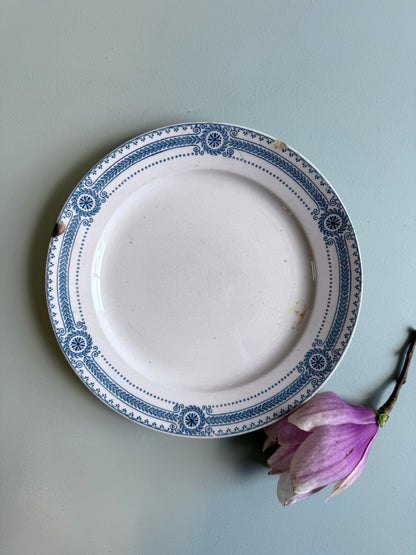 Assiette plate modèle Carina de Sarreguemines