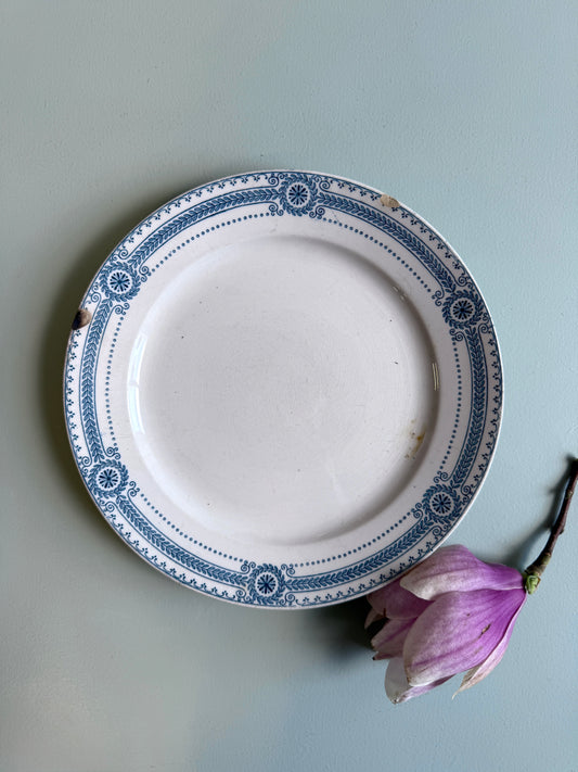 Assiette plate modèle Carina de Sarreguemines