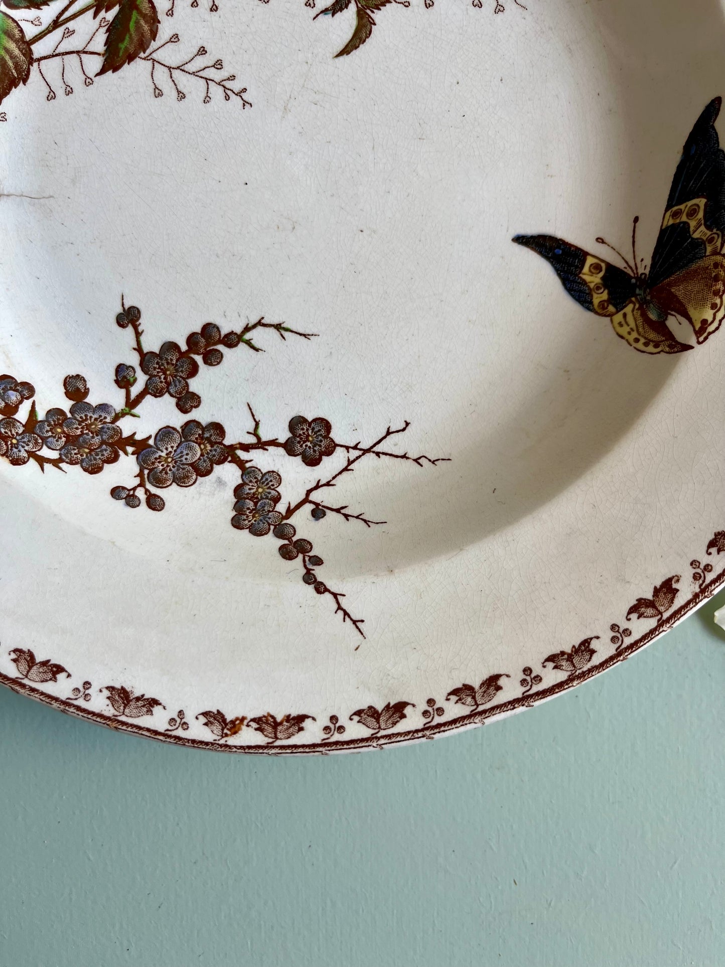 Assiette creuses Sarreguemines modèle « Carmen »