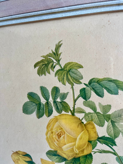 Tableau-lithographie rose jaune