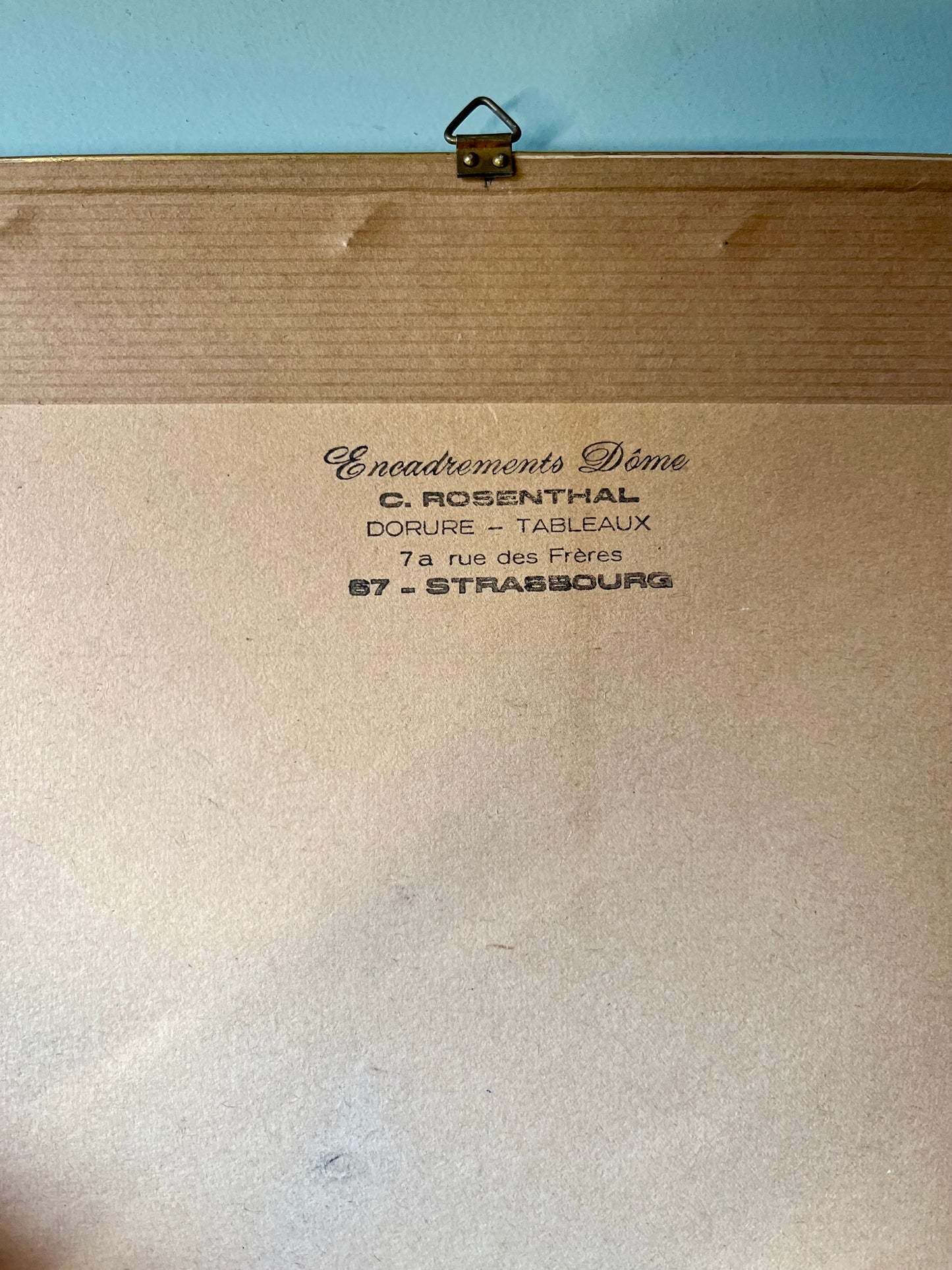 Planche botanique ancienne Astragalus – gravure encadrée dorée