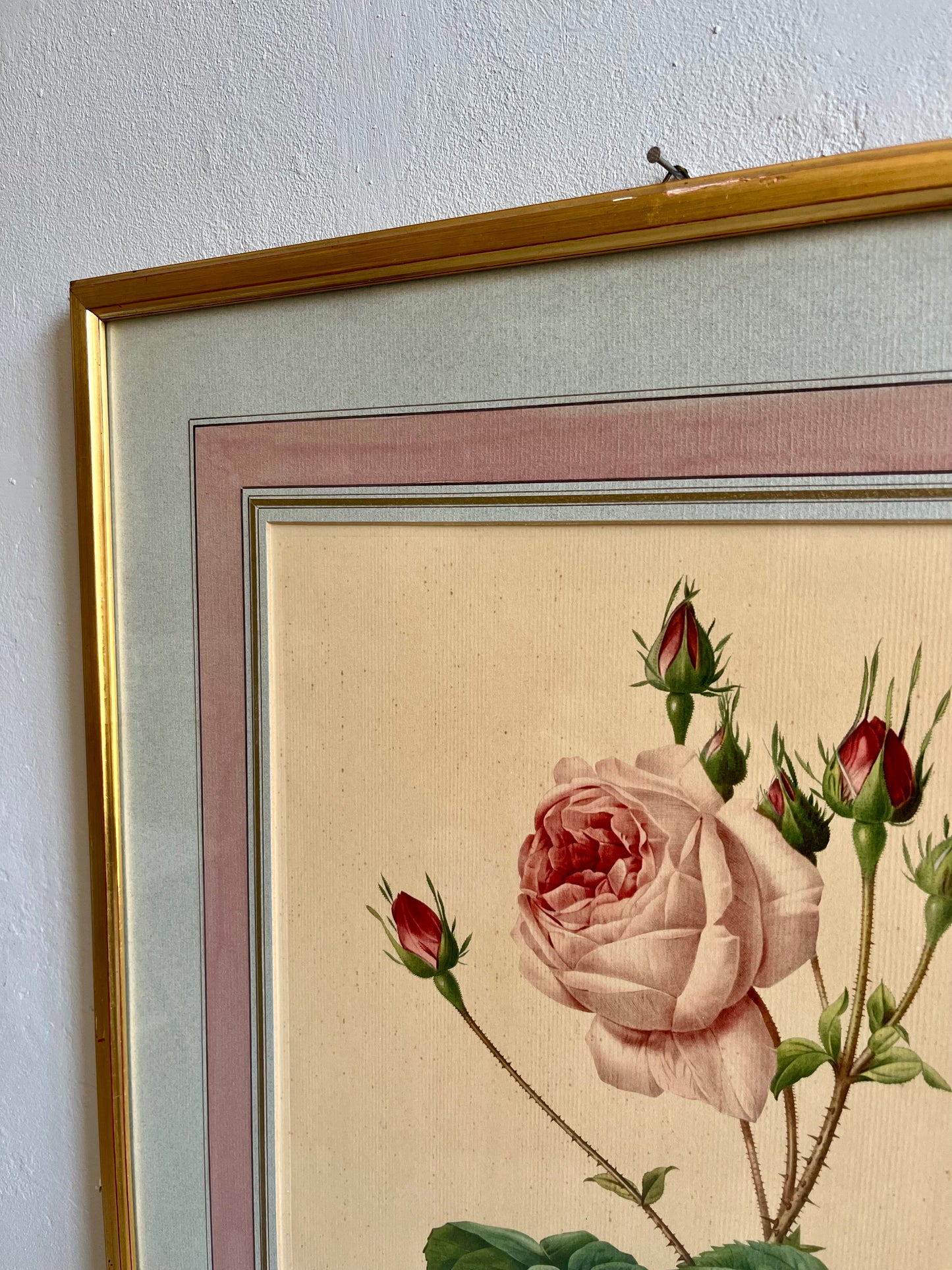 Tableau-lithographie rose encadré