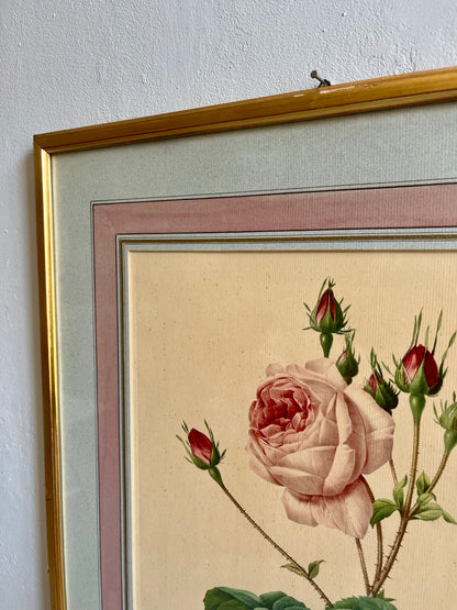 Tableau-lithographie rose encadré