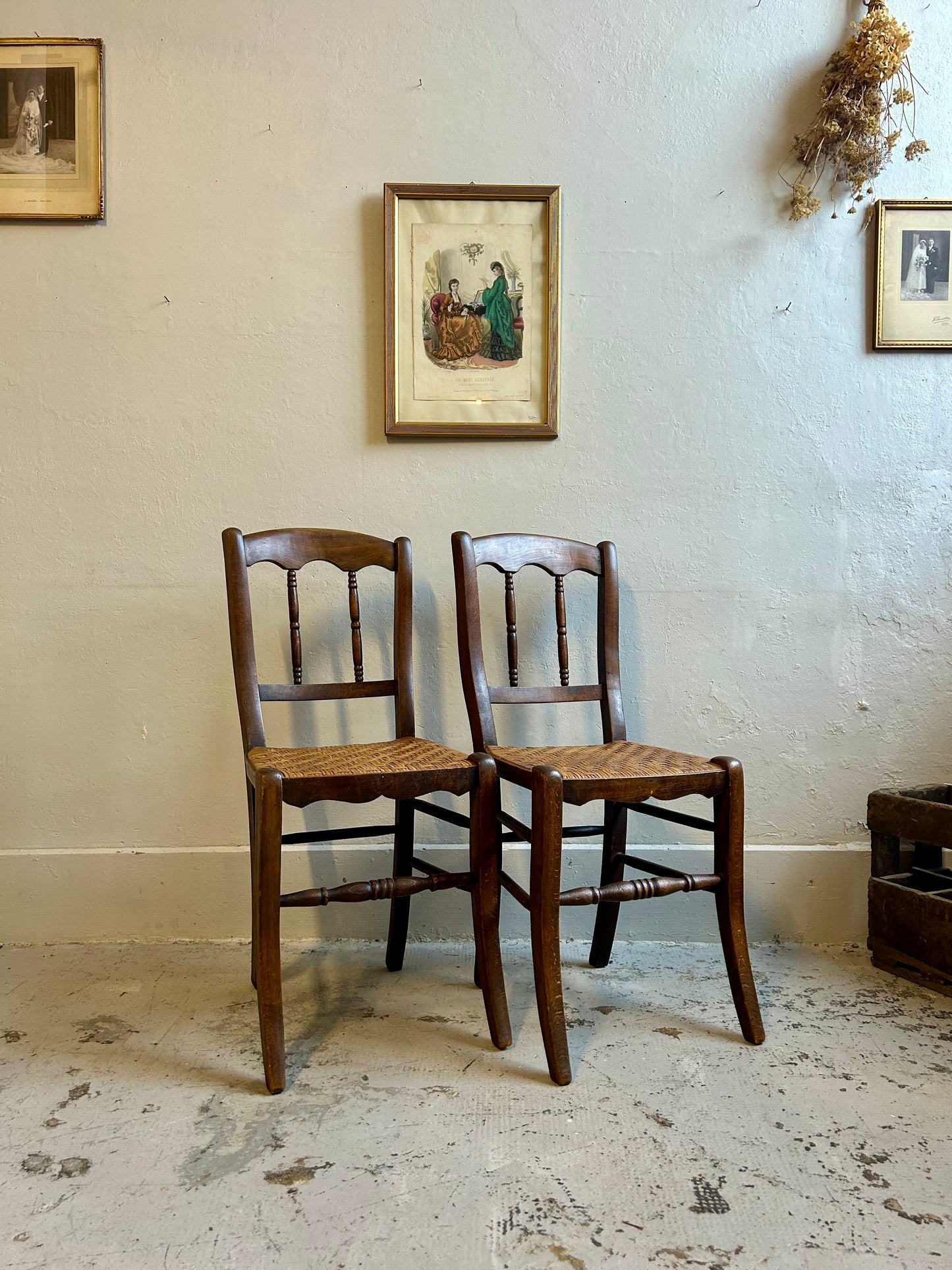 Chaises bistrot en bois foncé à assise paillée - paire