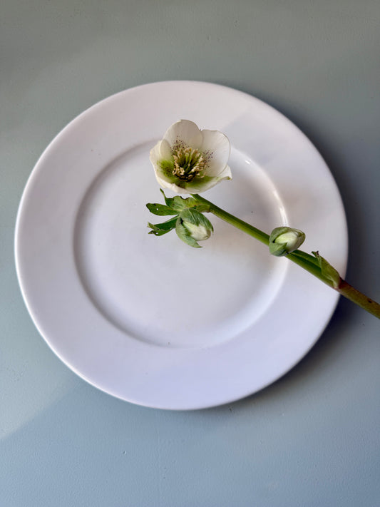 Assiette plate en porcelaine de Limoges