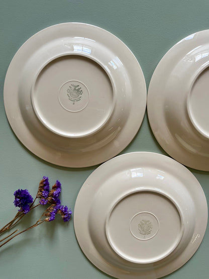 Assiettes creuses Villeroy et Boch- lot de 3   Patine