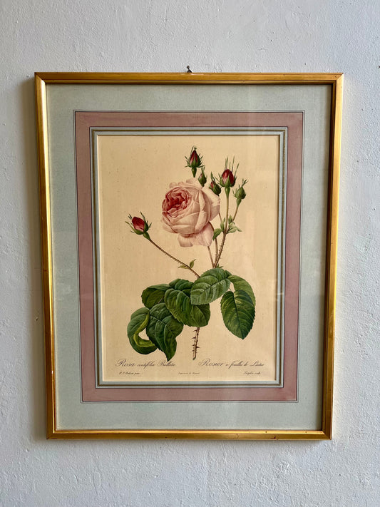 Tableau-lithographie rose encadré