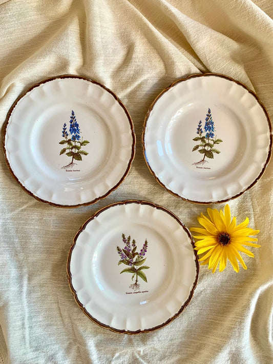 Assiettes botaniques – Faïences de Haute-Provence-lot de 3  Vaisselle Patine