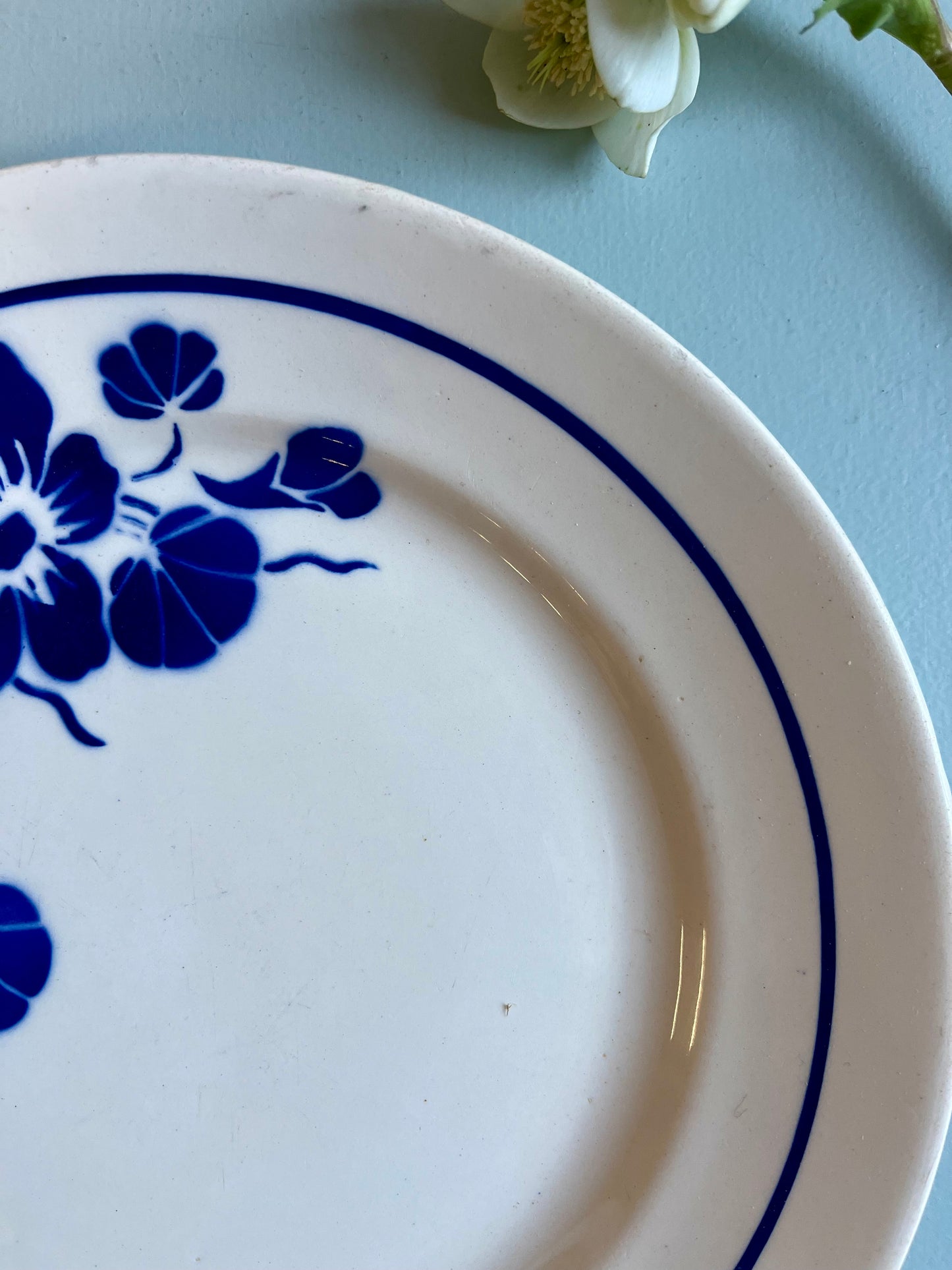 Assiette en faïence vintage motif fleurs bleues-Badonvillier