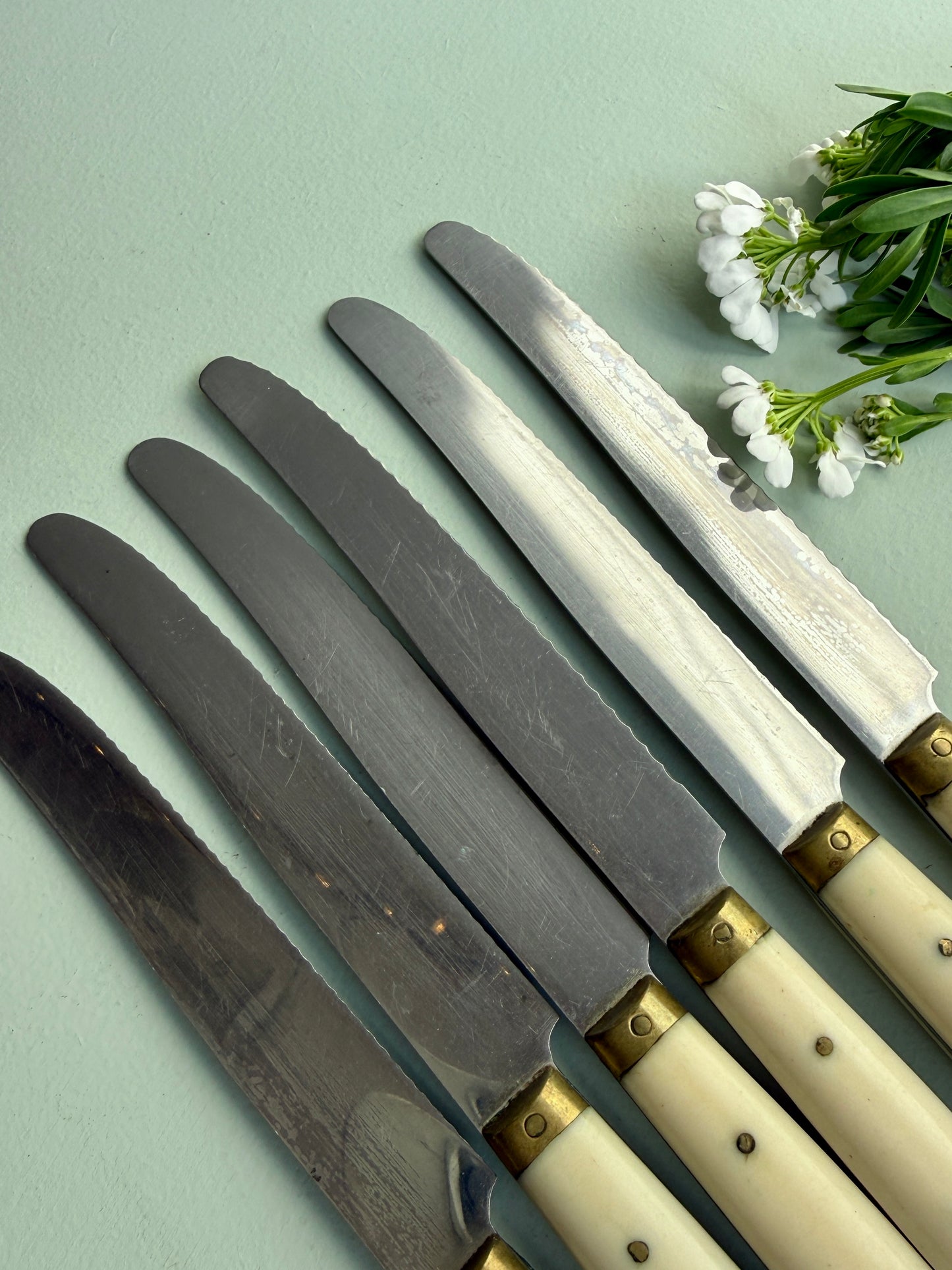 Couteaux LAVinox - lot de 6