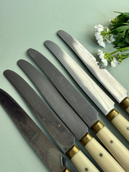 Couteaux LAVinox - lot de 6