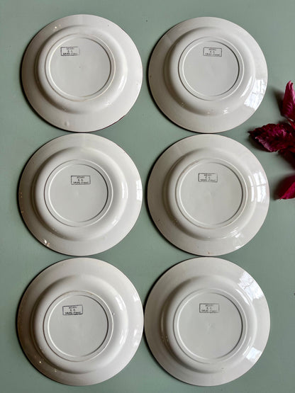 Assiettes anciennes Henri E.C. Salins – Lot de 6  Vaisselle Patine