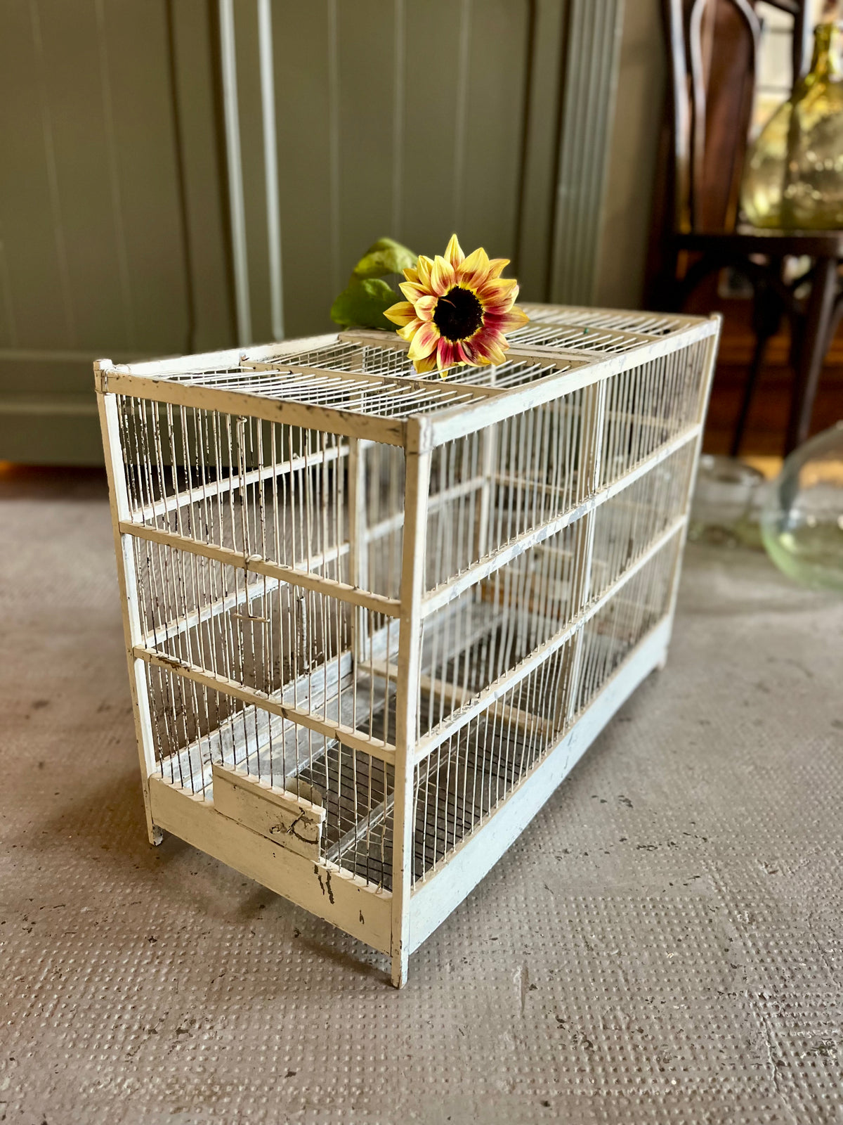 Cage à oiseaux ancienne  Décoration Patine