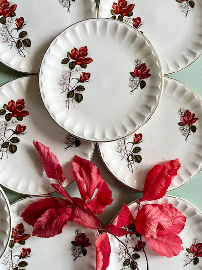 Assiettes à dessert Sarreguemines Vércor – Lot de 11  Vaisselle Patine