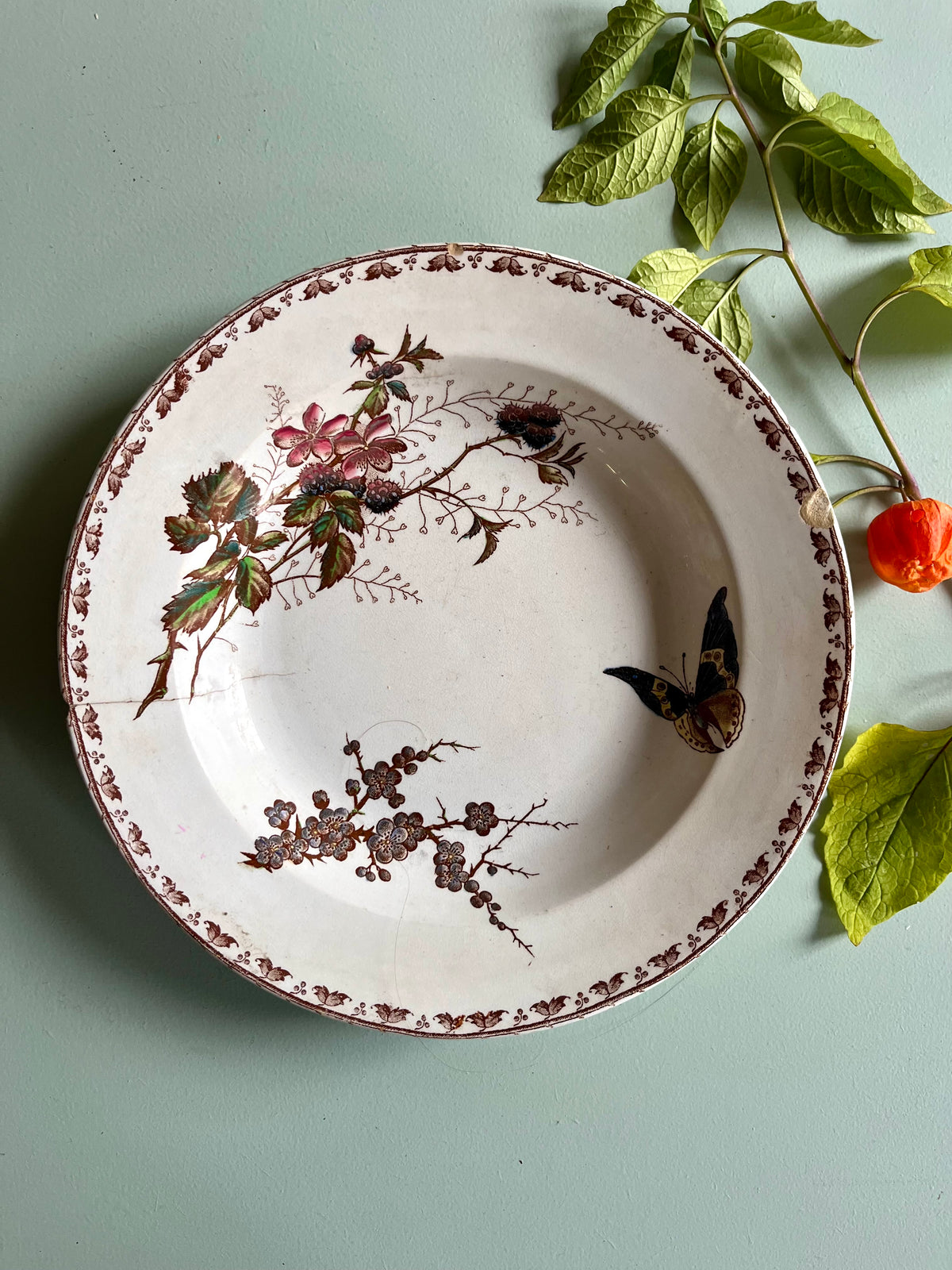 Assiette creuse Sarreguemines modèle Carmen  Vaisselle Patine
