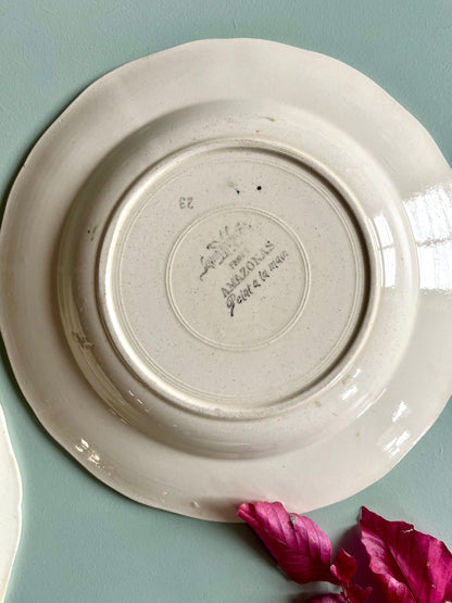Assiettes creuses Sarreguemines modèle Amazone - lot de 3  Vaisselle Patine
