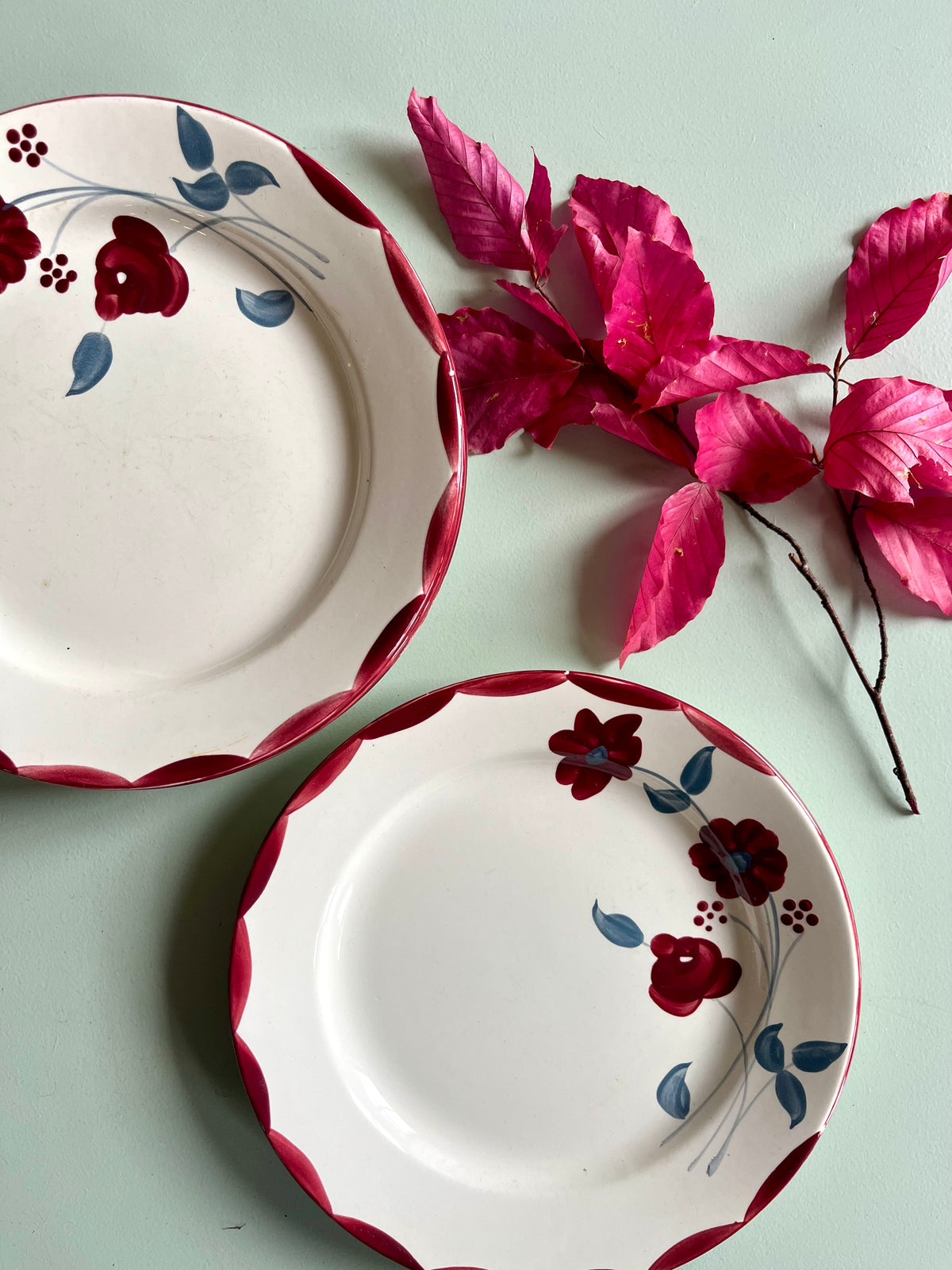 Assiettes anciennes Henri E.C. Salins – Lot de 6  Vaisselle Patine