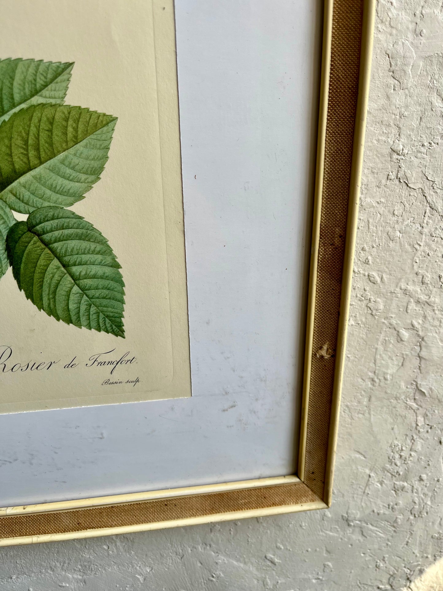 Tableau rosier sous cadre